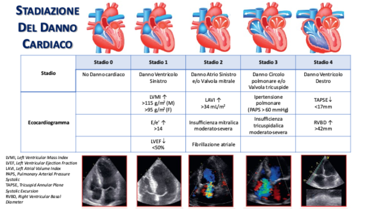 FIgura-1
