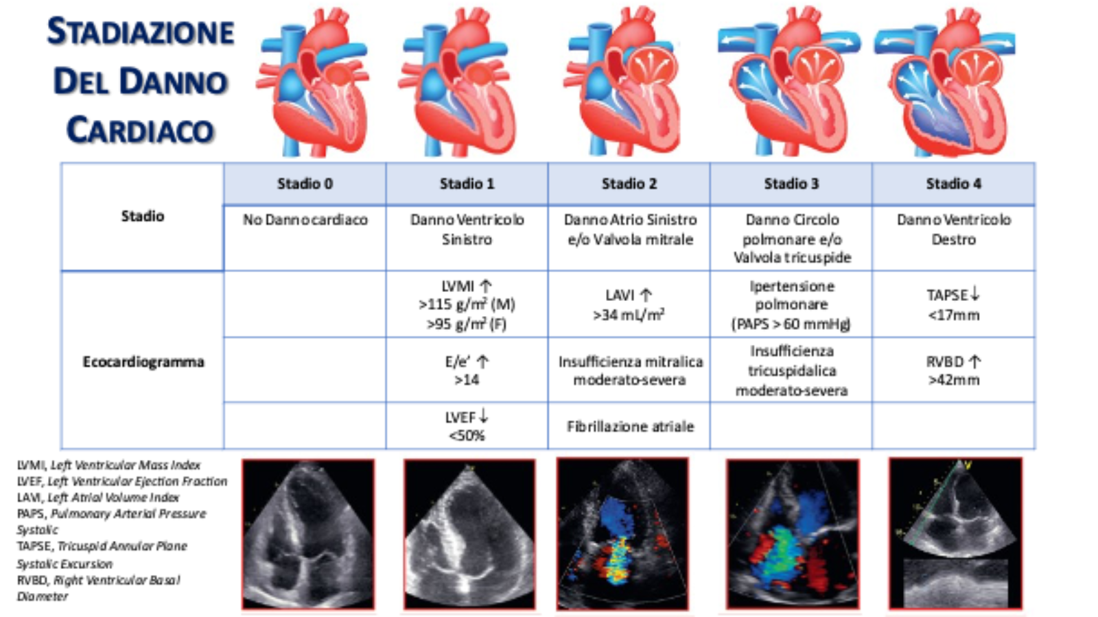 FIgura-1