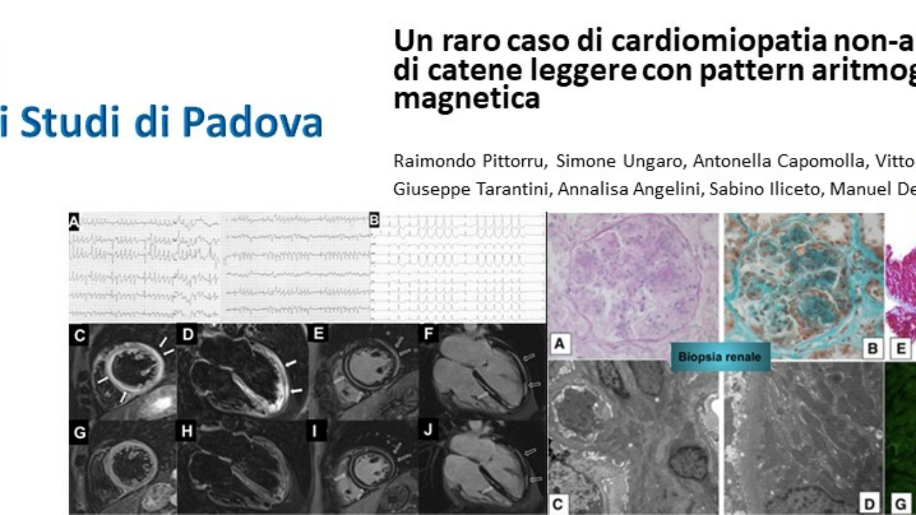 Diapositiva1